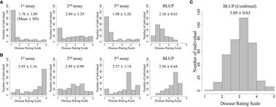 Low-density SNP markers with high prediction accuracy of genomic selection for bacterial wilt resistance in tomato